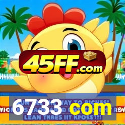 6733 com